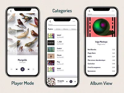 Music Player Concept