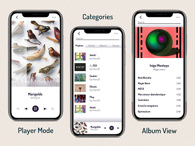 Music Player Concept