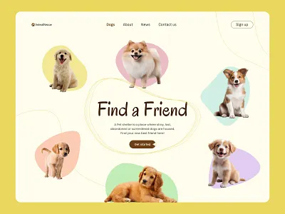 Animals Rescue Website branding graphic design ui