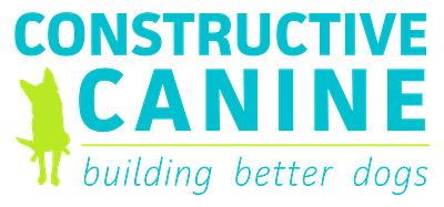 Constructive Canine branding design icon logo typography vector