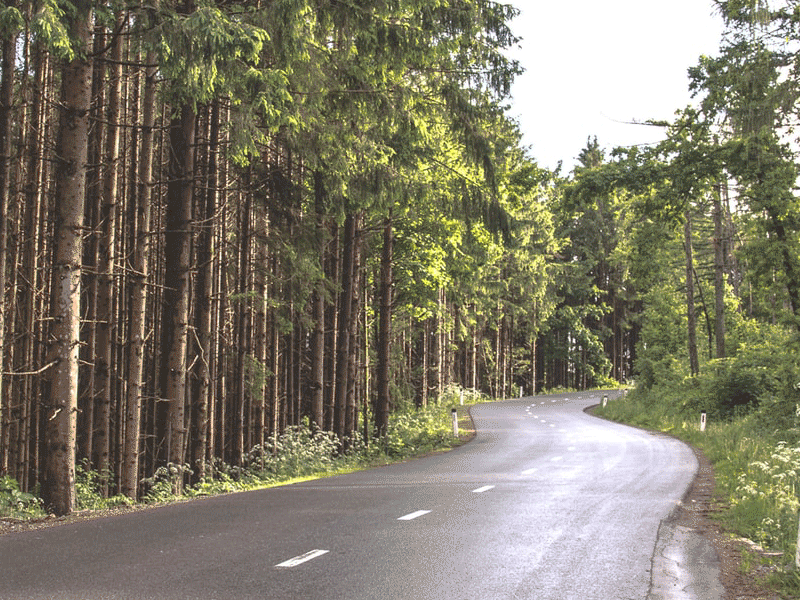 Happy Friday Eve - March 19 gif motion graphics text