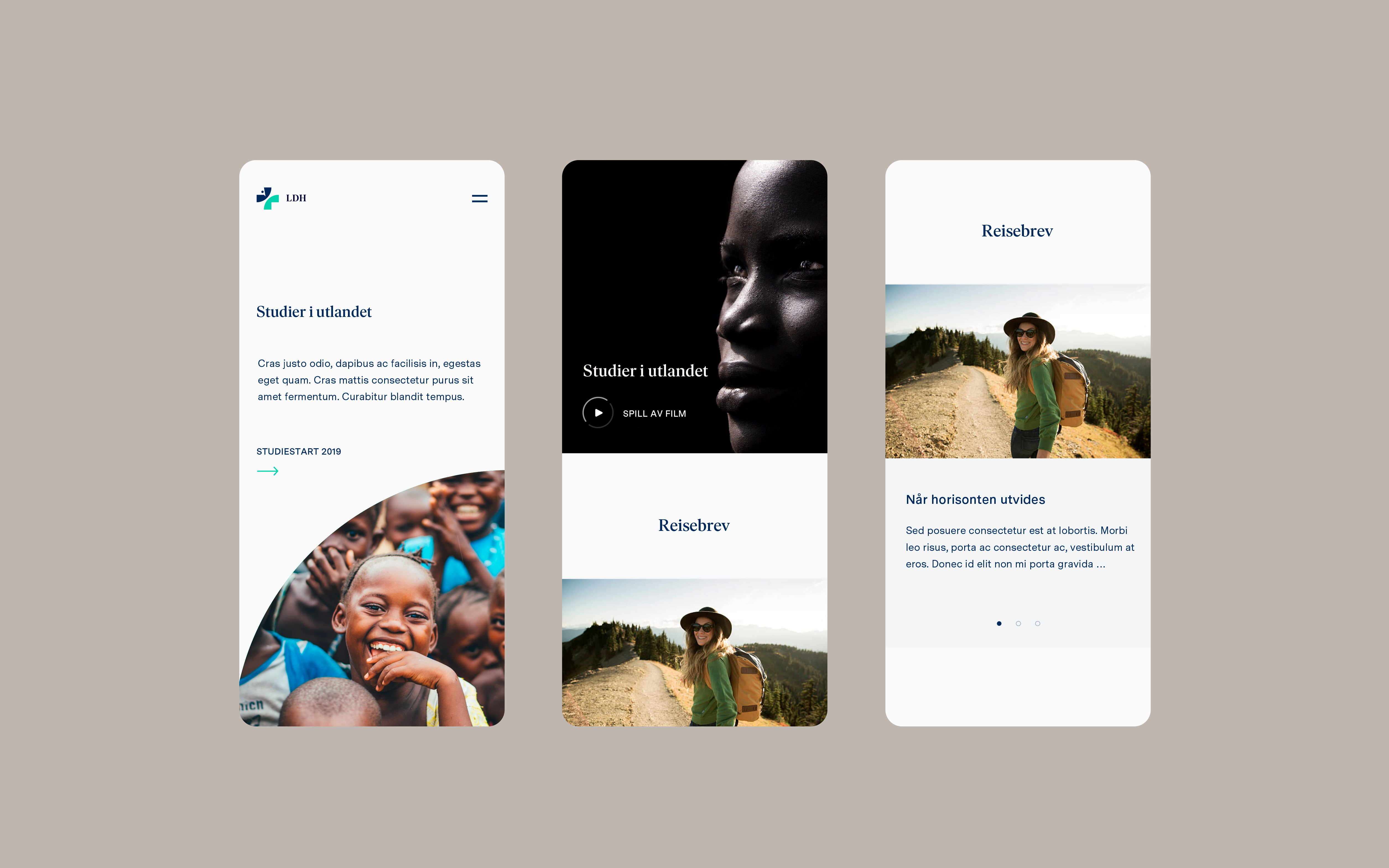 Example of LDH Mobile
