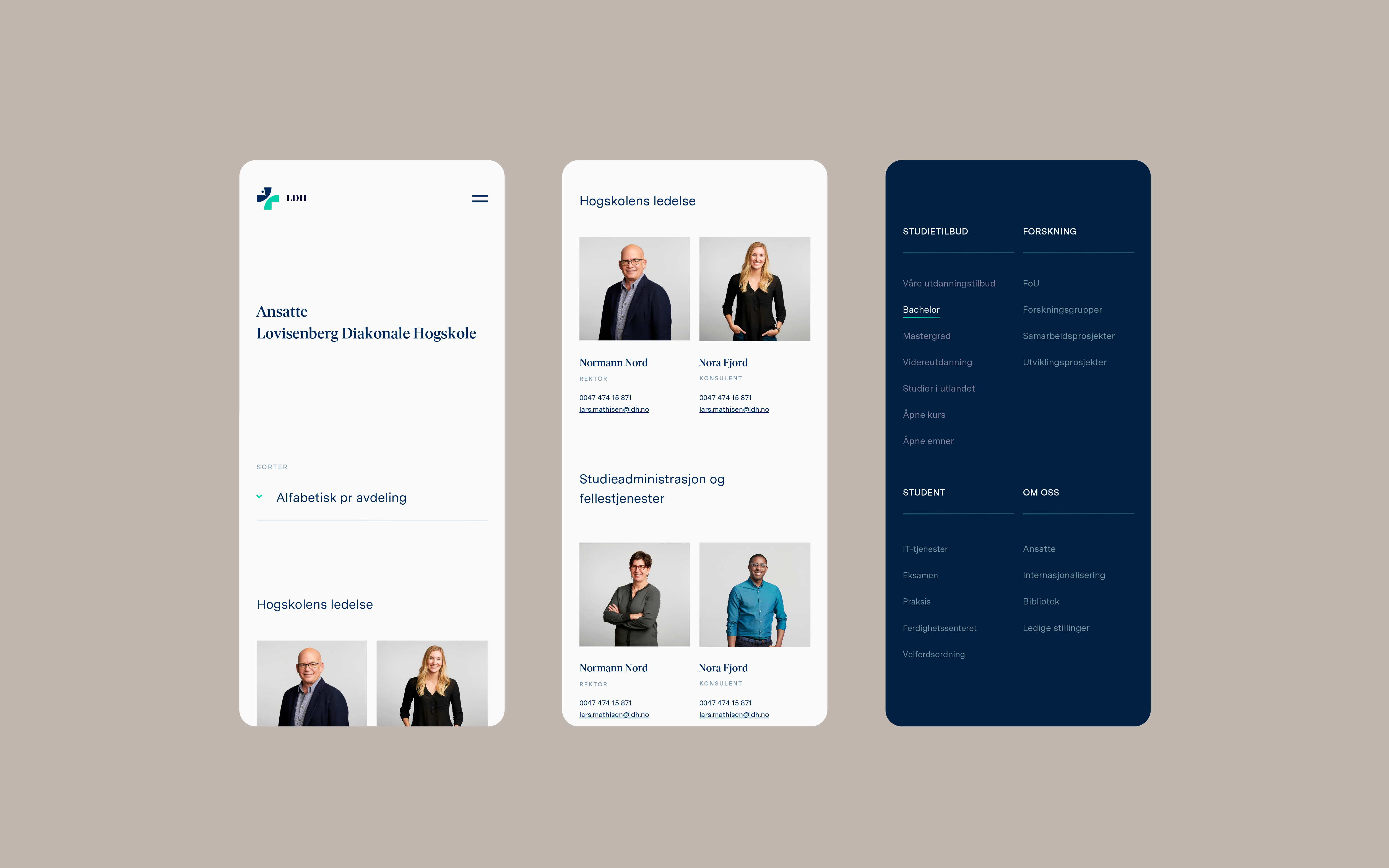 Example of LDH Mobile