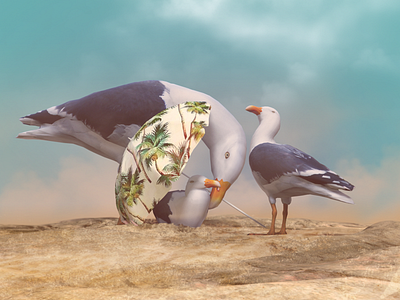 Seagull Famili beach character fly game happy illustration love sea seagull umbrella