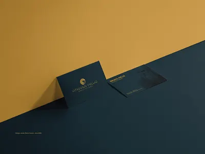 ID - Vitruvius Pollio Arquitetura arquitetura branding identity designer logotipo marca