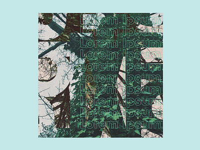 Matt Pond Album Back Cover album art album artwork album cover avantgarde clip mask foliage grain grainy grunge grunge texture grunge textures grungy layers lorem ipsum music art photography photoshop type typography