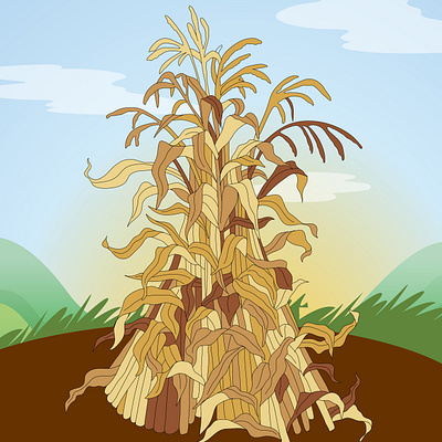 Hay affinitydesigner illustration vector