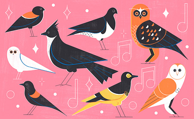 Forgotten Songs- Culture Trip airline birds colour design editoral editorial illustration flying illustration print travel