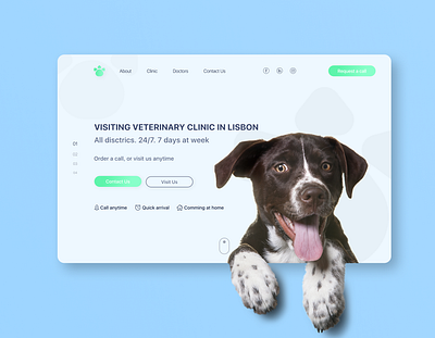 Vet clinic website design figma figmadesign prototype ui uidesign ux uxdesign uxui web webdesign