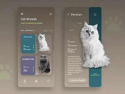 Daily UI Challenge #45 Info Cards animals app app design breeds cat cats challenge daily dailyui design info learn pets ui