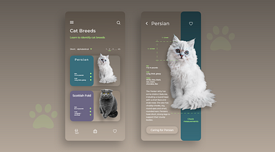 Daily UI Challenge #45 Info Cards animals app app design breeds cat cats challenge daily dailyui design info learn pets ui