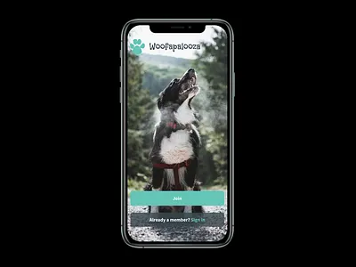 Woofapalooza Case Study for Dog Walking App