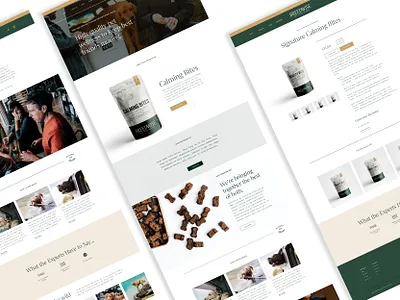 Breedwise Web Experience brand branding consumer d2c design dogs ecommerce identity design illustration shopify typography web design