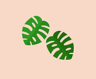 Monstera design flat flat design green illustration vector vector illustration