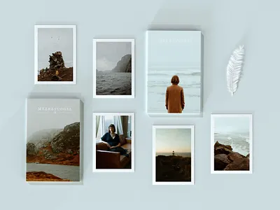 Meeresvogel Prints 3d benharthun c4d cinema4d corona meeresvogel photography pnw renderer