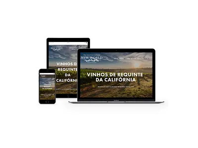 Website design prototype website design