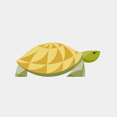 Geometric Turtle illustration