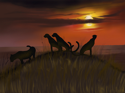 Wild life sunset... procreate illustration....