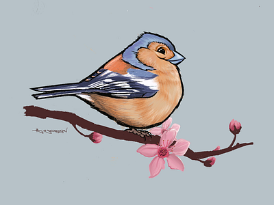 Chaffinch