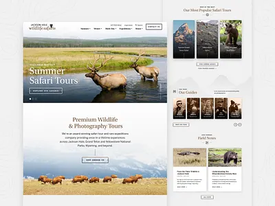 Jackson Hole Wildlife Safaris — 1 𝑜𝑓 9 clean expedition field grand teton grey guide jackson hole natural outdoor photography safari tour tourism travel ui webdesign wild wilderness wildlife yellowstone