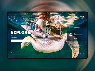 Web Design app icon ui