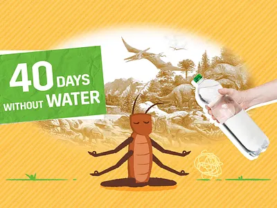 Cockroach 2d 2d animation 2d character after effects animation behind the scenes character character animation dinosaurs facts gif grass history illustration loop nature stroke tumbleweed water