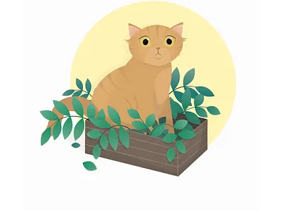 Cat in a box animal cat cat in box cats ginger cat pet plants