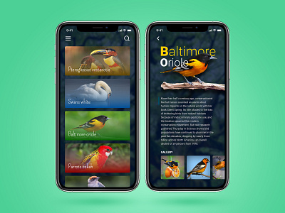 Sample Of Ui/Ux app bird figma ios iphone photoshop ui ux