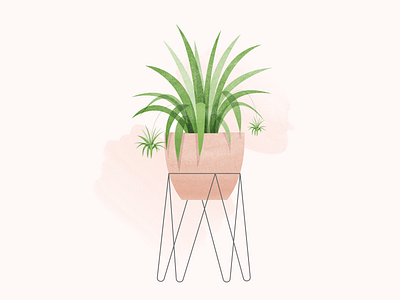 Spider Plant green home decor house plant planter texture watercolor