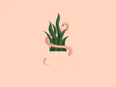 Snake Plant illustration illustrator line plant snake vector
