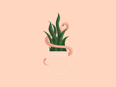 Snake Plant illustration illustrator line plant snake vector