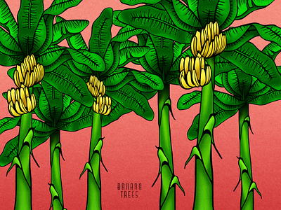 Sunset Banana Trees banana banana leaf banana trees bright colors digital color hand crafted hand drawn illustration nature tropical tropical design