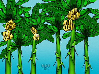 Daytime Banana Trees banana trees bananas bright colors digital color hand crafted hand drawn illustration nature trees tropical tropical design