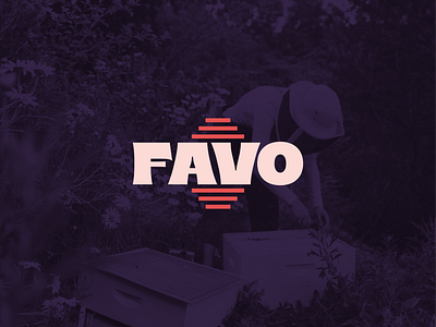 Favo Logotype bee hive bee keeper bee logo bees beeswax brand branding brice favo hive honey honey bee honey bees honeycomb italian logo logotype retro typography