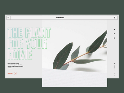 Daily UI series::009 banner clean concept creative daily ui challenge dailyui gallery grid hero header layout minimal plant slide store typo typography ui ui challenge