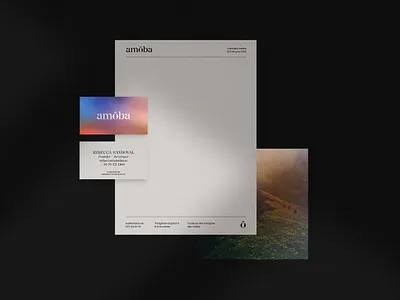 Amöba branding brand guidelines brand identity branding business cards cards developer flatlay identity layout letterpaper most studios typography