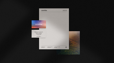 Amöba branding brand guidelines brand identity branding business cards cards developer flatlay identity layout letterpaper most studios typography