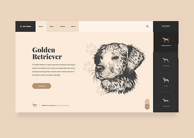 UI Design - Dog Breeds Website Design dog website landing page ui design ux design webdesig website website concept