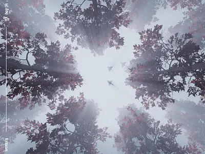 Serenity. 3d 3d art 3d artist album art art blender cover art cover design cycles design fog foggy forest lights music nature render tree