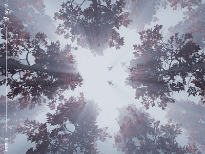 Serenity. 3d 3d art 3d artist album art art blender cover art cover design cycles design fog foggy forest lights music nature render tree