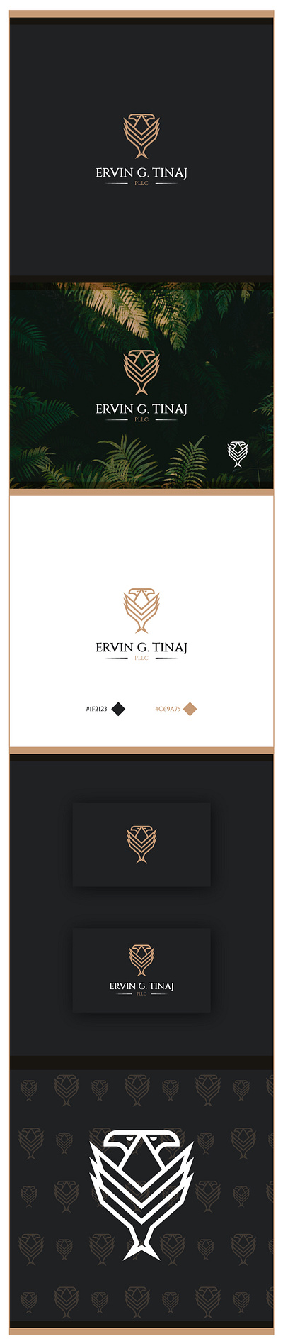 Ervin G Tinaj Logo Design Project brand identity branding business card design eagle eagles law firm law firm logo logo logo design luxury minimal minimalist logo design