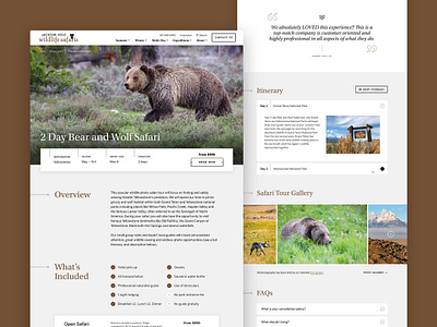 Jackson Hole Wildlife Safaris — 5 𝑜𝑓 9 bear brown clean grand teton grey jackson hole natural nature outdoor rustic safari tourism travel ui web web design wild wildlife wolf yellowstone