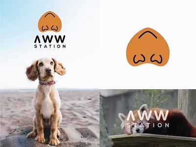aww station animal animals animals logo bird birds cat cats dog dogs lion panda pandas pet pets sheep snake station wild wild animal wildlife
