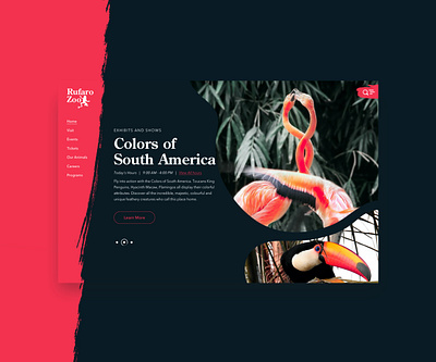 Rufaro Zoo - Pink flamingo southamerica ui uiux uxdesign zoo