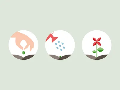 Planting process flower garden gardening grow plant seed soil stem water watering can