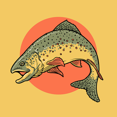 Trout Illustration brownie butter fishing illustration photoshop retro river trout