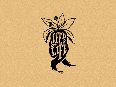 Seeds of Life Logo botanical branding creature cute logo farm farm logo farming fermentation flower hand drawn hand lettering home brew illustration kombucha logo design mandrake roots rough rustic seeds