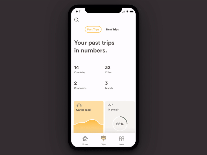 Datatrip — Statistics clean data data visualization graphic prototype prototype animation statistics travel ux uxui