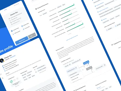 Triplebyte candidate profile assessment attributes b2b candidate card data design engineering performance profile profile card profile design recruiting request score software tags technical ui design web