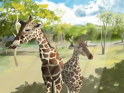 Osaka Zoo art artph giraffe japan november osaka tropical zoo